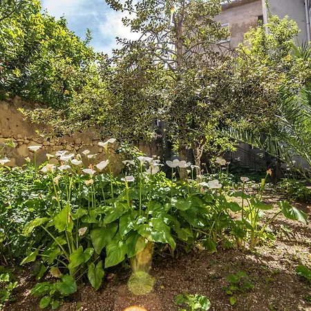 Il Giardino Delle Calle - Happy Apartment *